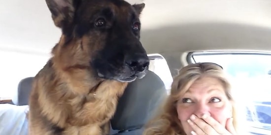 Veterinere Geldiğini Anlayan Köpeğin Yürek Burkan Tepkisi