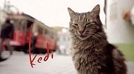 Time Yılın En İyi Filmlerini Belirledi: Ceyda Torun'un Çektiği 'Kedi' Beşinci Sırada