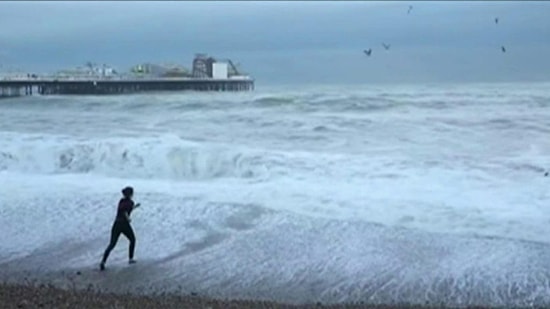 Dev Dalgaların Arasında Kalan Köpeğini Kurtaran Kahraman Kadın