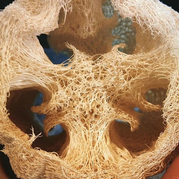 11. Не пользуйтесь мочалками из люффы.