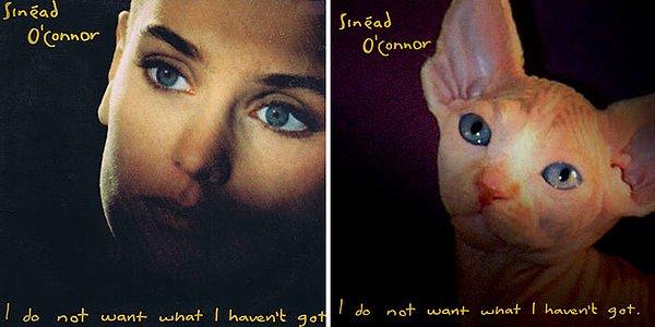 12. Sinéad O'Connor