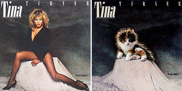 13. Tina Turner