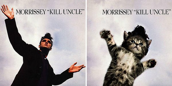 29. Morrissey