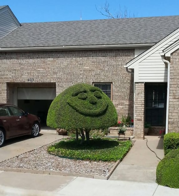 8. "Я, когда успеваю все запланированное на день".