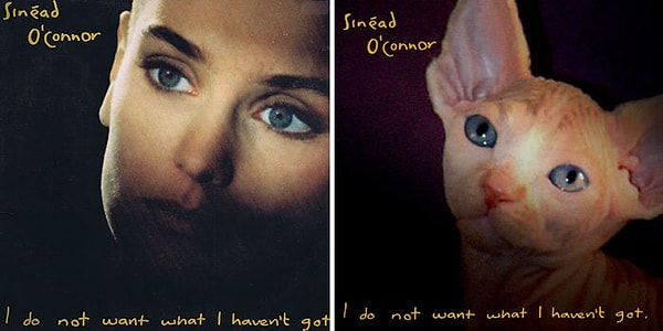 12. Sinéad O'Connor