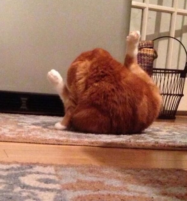 10. Окорочка со скидкой, не проходите мимо 😍