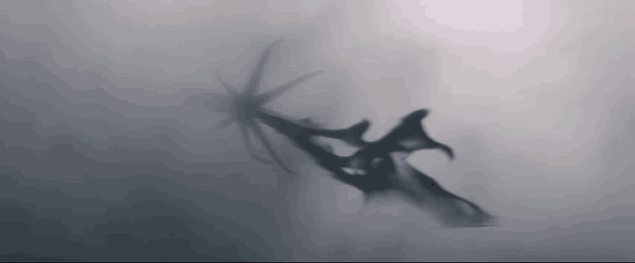 s-d964a08cb94678030c1cba0f0a2539e1e059f243.gif