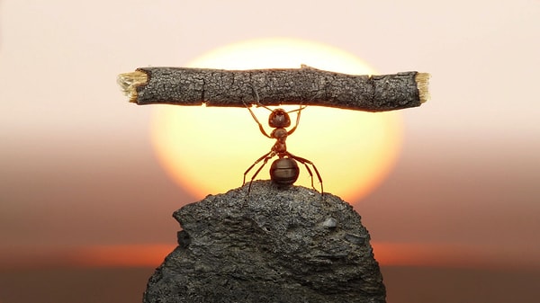 7. Какой прибор используют для измерения силы?