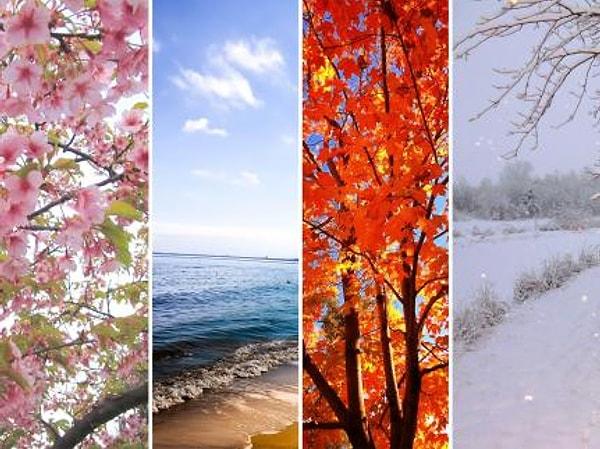 5. Yılın hangi mevsimi favorin?