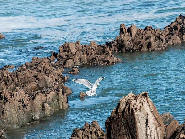 6. Когда пролив Ла-Манш отделил Британию от континента?