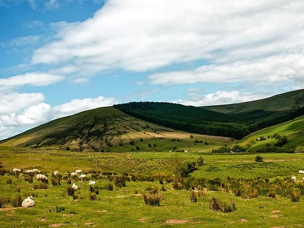 3. Святой Давид является покровителем какой из стран?