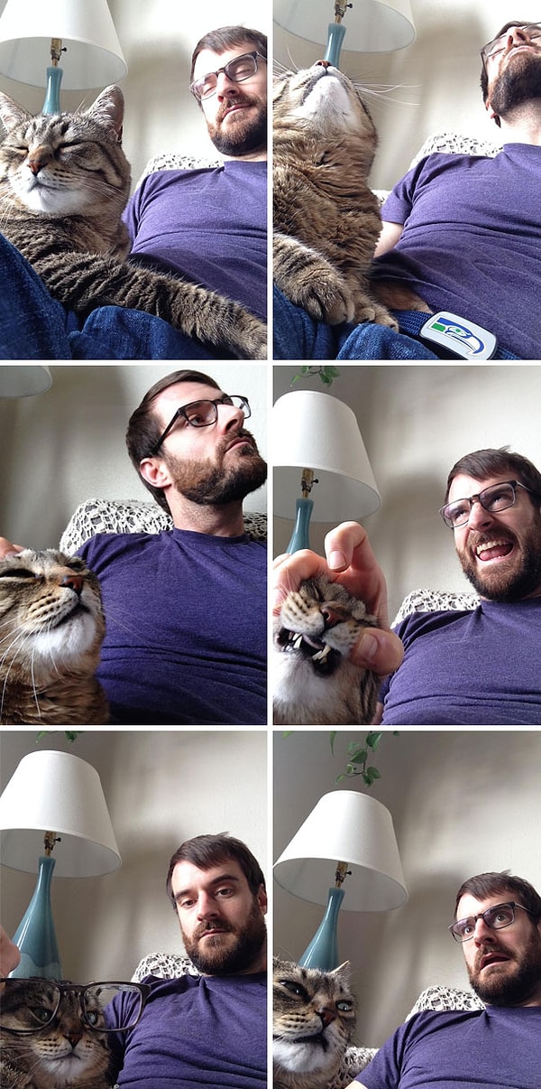 10. "Жена задерживается на работе сегодня. Я отправил ей несколько снимков с кошкой". 😏