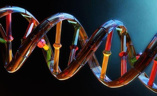 11. 'Gen' Ötesinde Biyoloji