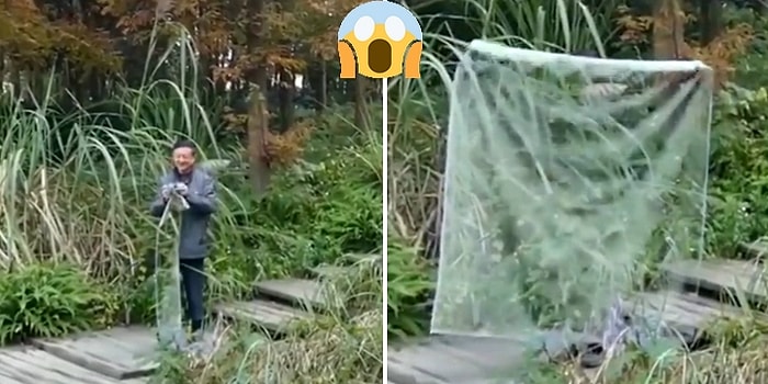 Dünya Bu Adamı Konuşuyor: Görünmezlik Pelerini Gerçek mi?