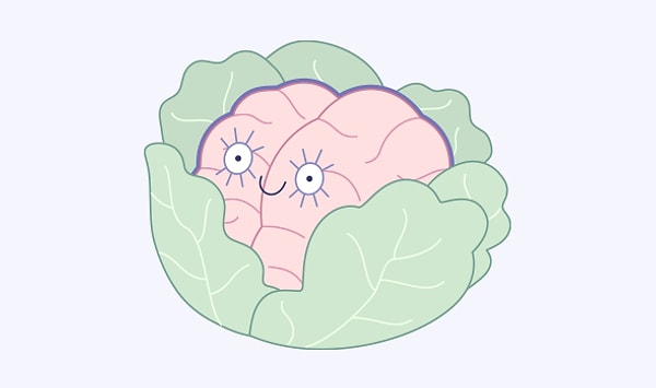 8. Деятельность мозга (с использованием специальных препаратов)