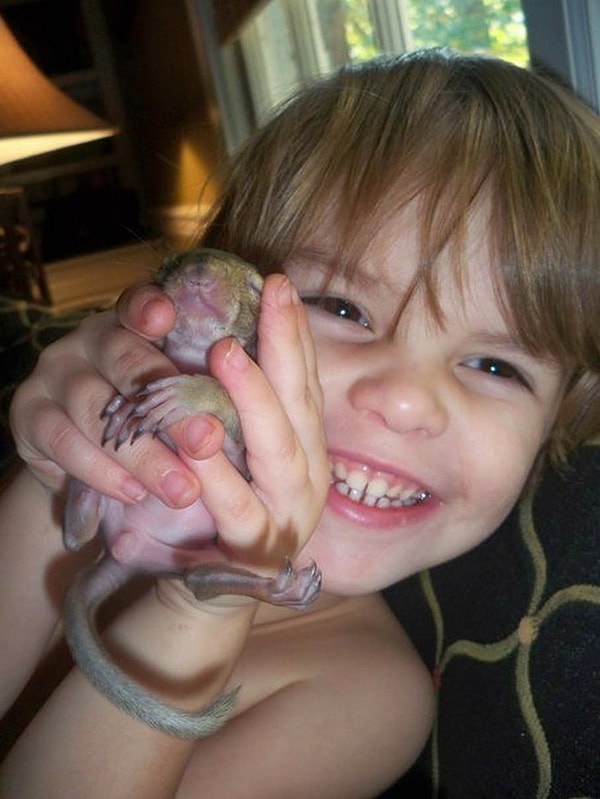 Но ей крупно повезло, потому что обнаружившие её спасители решили, что семья Харрисон непременно её приютит.