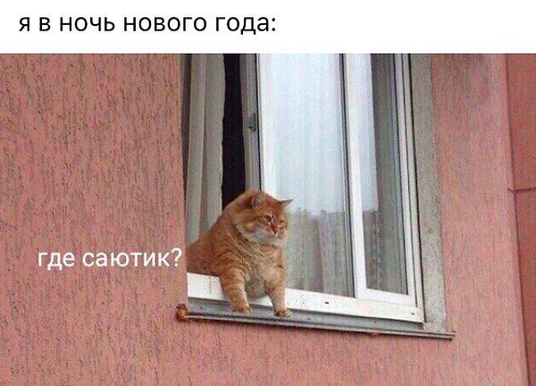 5. Ну что, на елку пойдете или наедитесь оливьешки и будете смотреть "саютик" из окна?