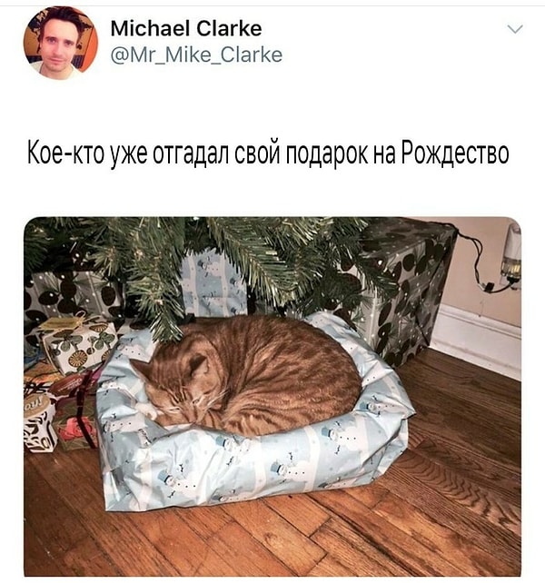 10. И испортил себе весь сюрприз