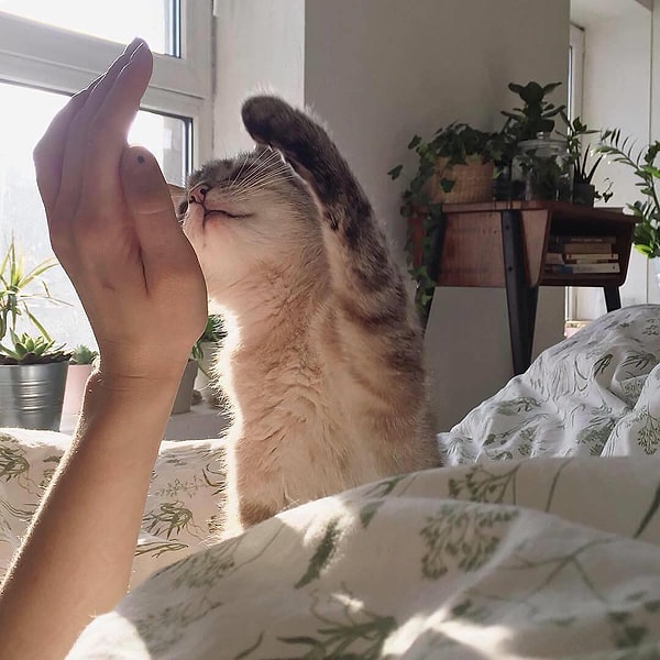 1. "Дай пять!"