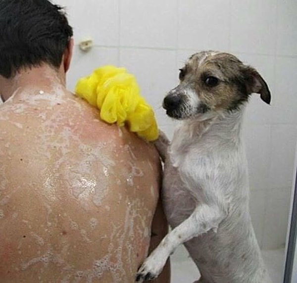 6. "Потрите мне спинку, пожалуйста!" 😂