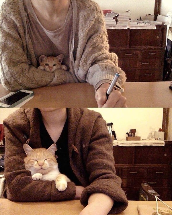 7. Труд облагораживает 😉