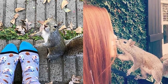 Хвостатый приятель: Дружба этой семьи с белкой длится более 8 лет!