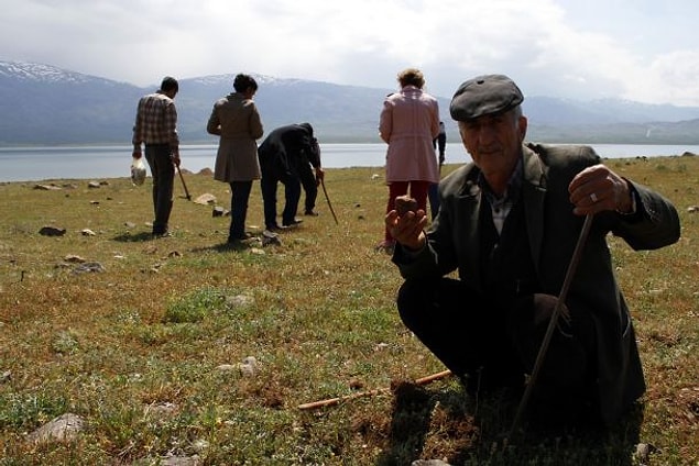 10. Elazığ'ın bir köyünde yağmurlarla toprak üstüne çıkan bu besin maddesi, kilosunu 40-50 lira arasında satılarak köylülerin bu dönemdeki geçim kaynağı oluyor.