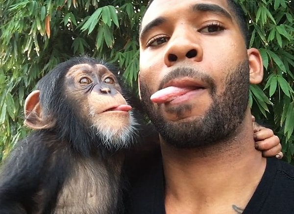 Он известен под другими именами: Король лесов или Фантастический Тарзан!