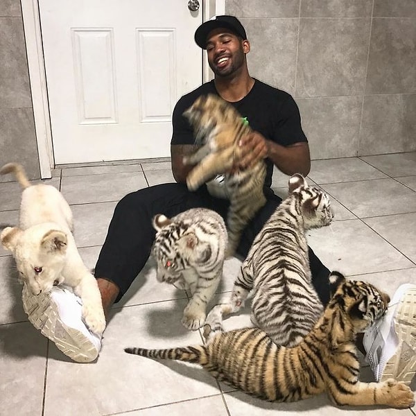 Только взгляните на это! 🐅❣️