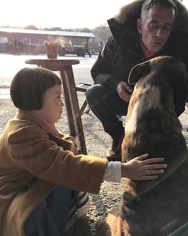 12. Bazen bir köpek severken...