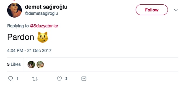 17. Ancak bu sefer sükunetini koruyabildi Demet Hanım.