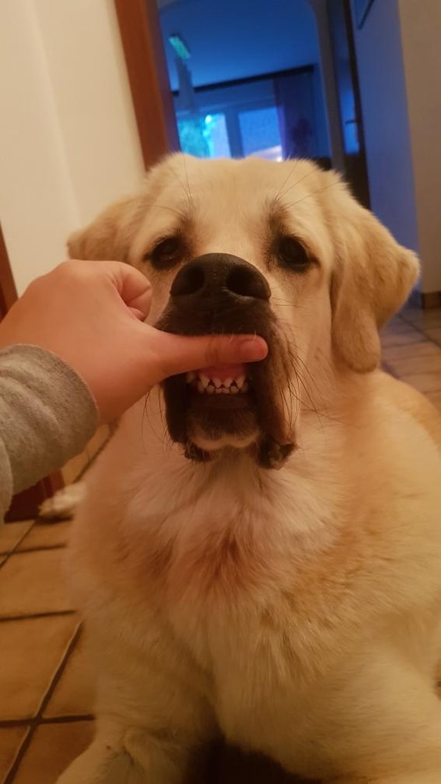 4. Gülümse çekiyorum! 😬