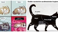 Kedi Sahiplerinin Gözlerinden Kalpler Çıkaracak Anlar ve Kediler Hakkında Bilmeniz Gerekenler