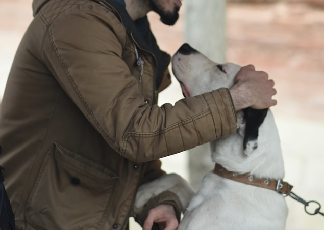 Sarılmanız...