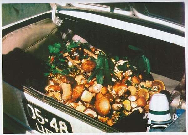 6. Урожай грибов: