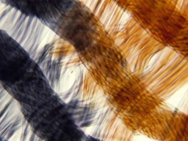 9. Почти на финише!