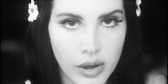 32 лучших Coub за 2017 год, при просмотре которых вы надорвете живот от смеха