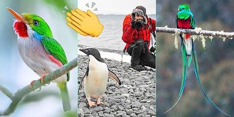 Bu Şahane Adamı Tanımalısınız: Rengarenk Kuşların Peşindeki Türk Araştırmacıdan Muazzam İşler!