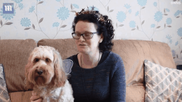 Eşi ve Oğlunun Gözü Yaşlı Köpeğinin Noel Hediyelerine 5000 TL Harcayan Kadın 65