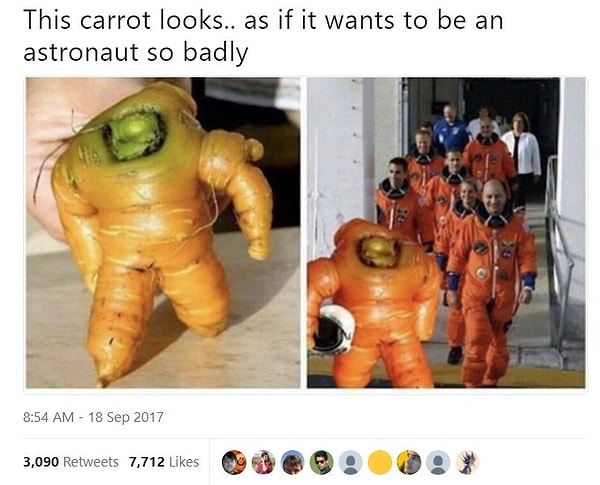 2. Эта морковь выглядит так, словно всю жизнь мечтала стать космонавтом 🚀