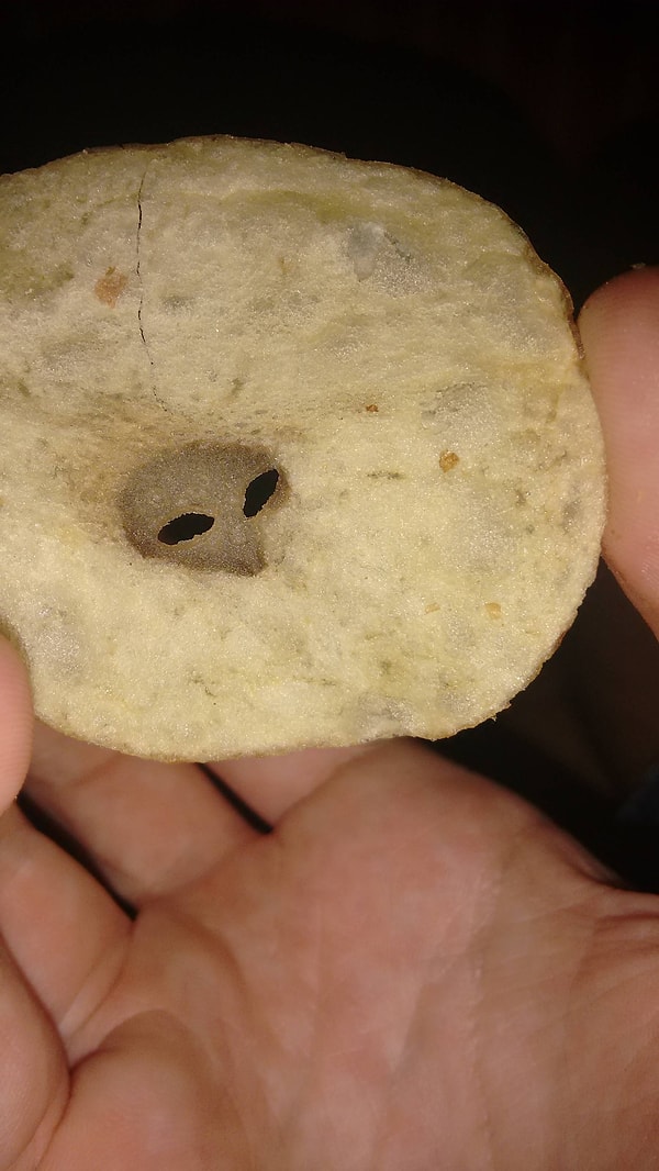 4. Инопланетная чипса 👽