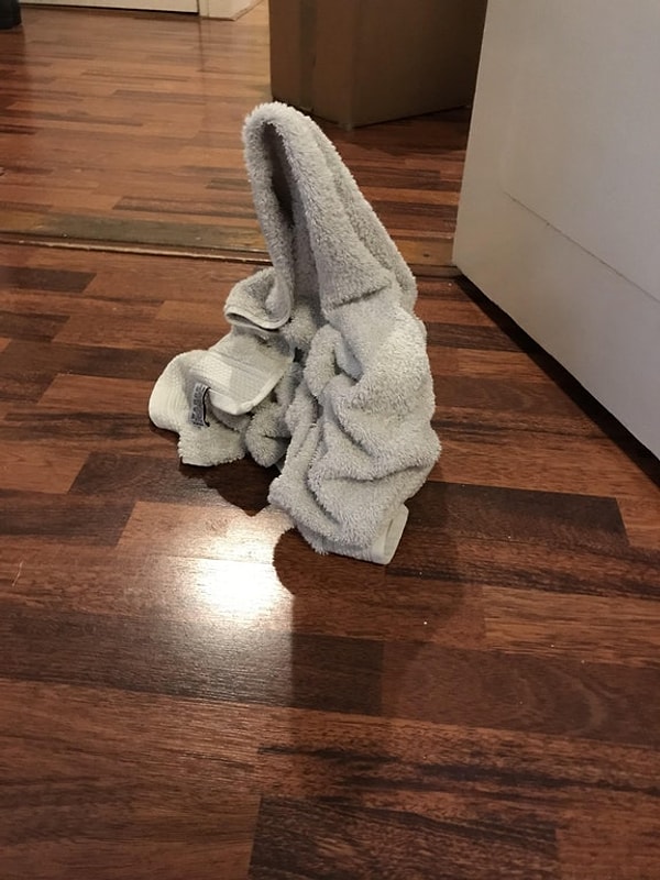 8. Привидение дикое, но симпатишное 👻