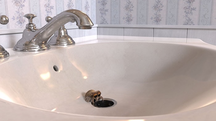 Araknafobia Karşıtı Örümcek Lucas'la Şimdi Oyun Zamanı