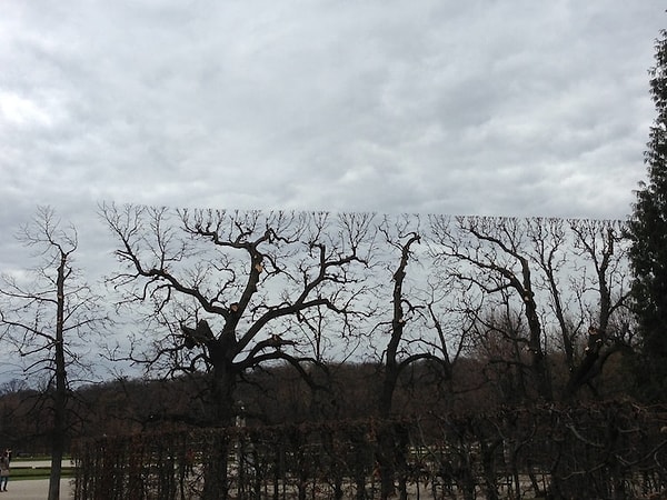 14. Ну это уже совсем подозрительно!