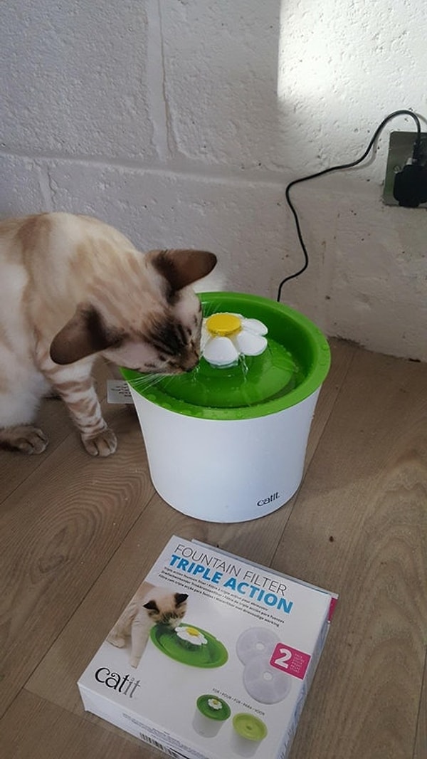 20. Хм... Где-то здесь подвох