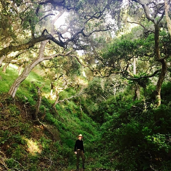 6. Под этим фото, например, у них произошла наитрогательнейшая переписка: