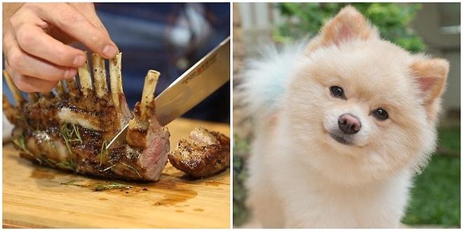 Ölümcül Bir Tartışma: Hem Kedi Köpek Sevip Hem de Nasıl Rahatça Et Yiyebiliyoruz?