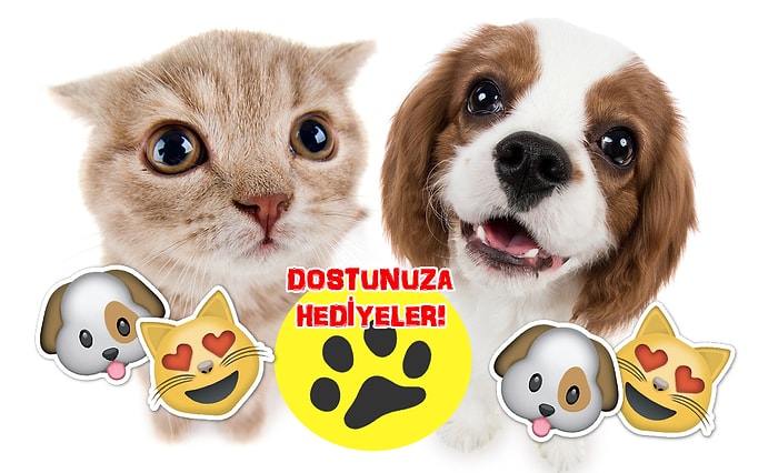 Ponçiklik Alarmı! Kedi ve Köpeğinizi Mest Edip Sizin de Hayatınızı Kolaylaştıracak 12 Hediye