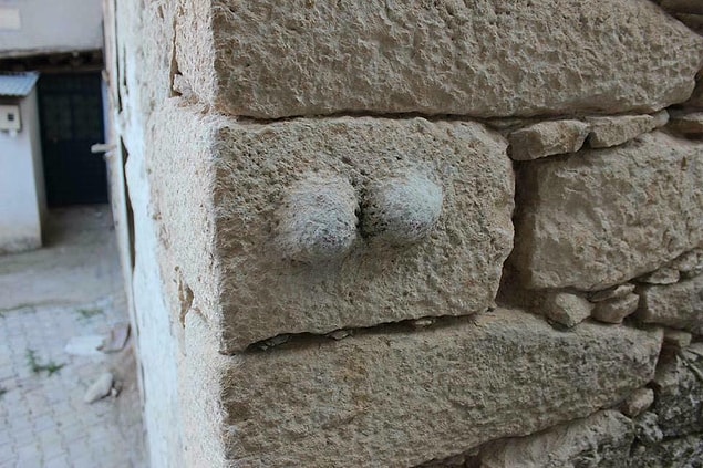 1.