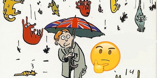 Этот тест на знание идиом под силу только настоящему эксперту английского языка